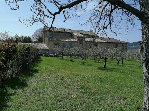 Gîte Amande Domaine de L'Annonciade