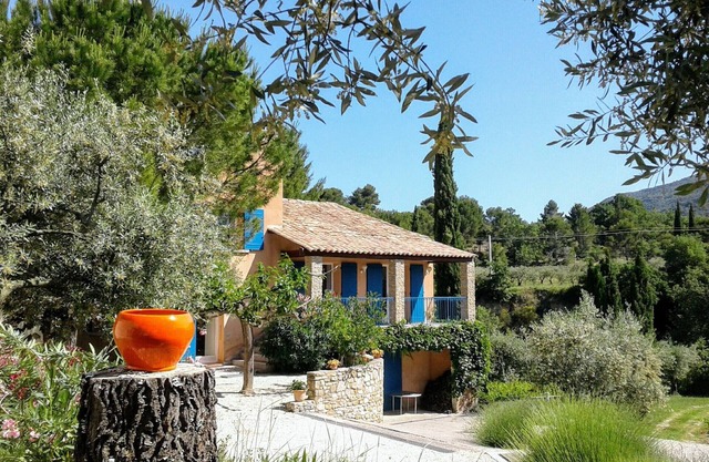 Gîte Bleu among olive trees