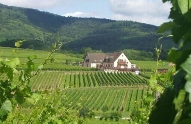 GÎTE "IN SCHOENENBOURG"