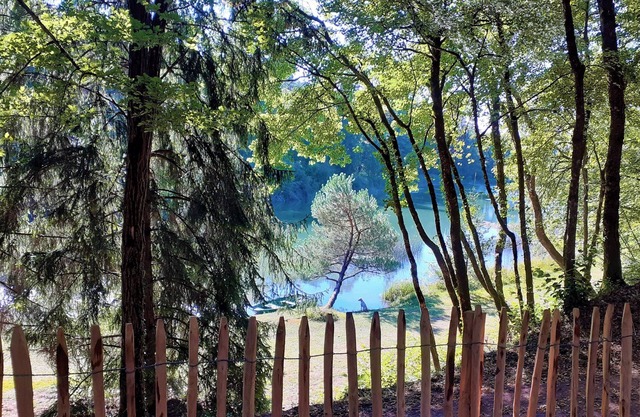 Gîte Nature en Périgord, Détente, Pêche, et Baignade