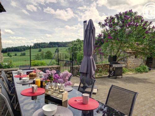 Gîte rustique rénové, confort moderne, vue sur les Alpes - FR-1-496-253