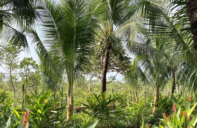 Gò Chanh Homestay