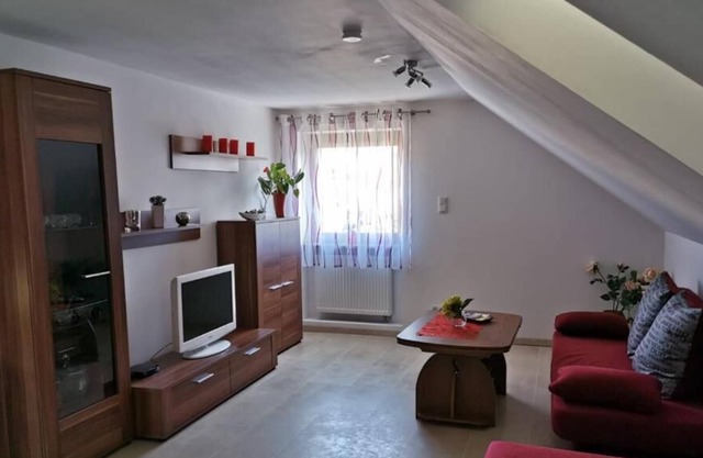 Gabi's room rental