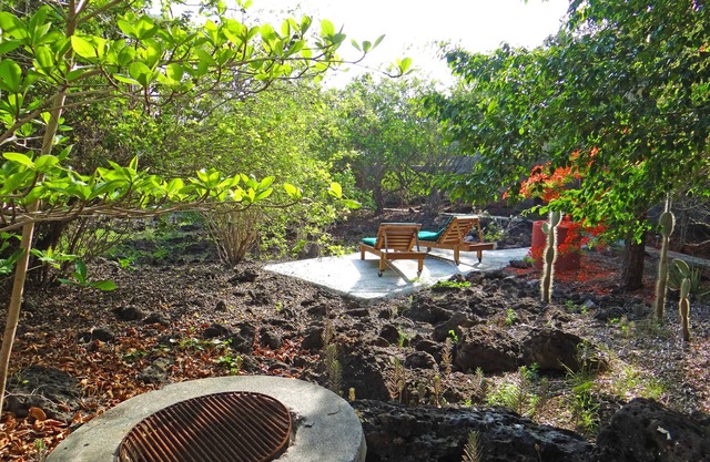 Galapagos Chalet: Your Island Home