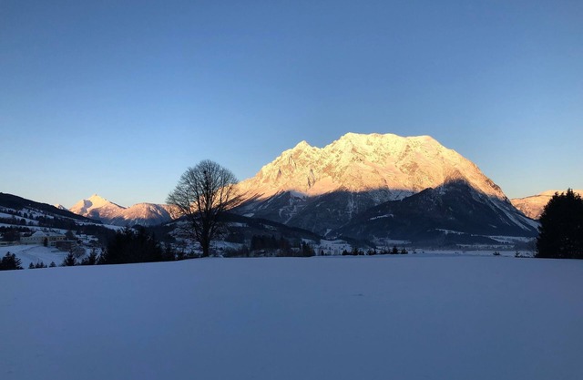 Galloway - Lutzmann Hof