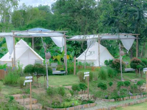 Garden Camping Type
