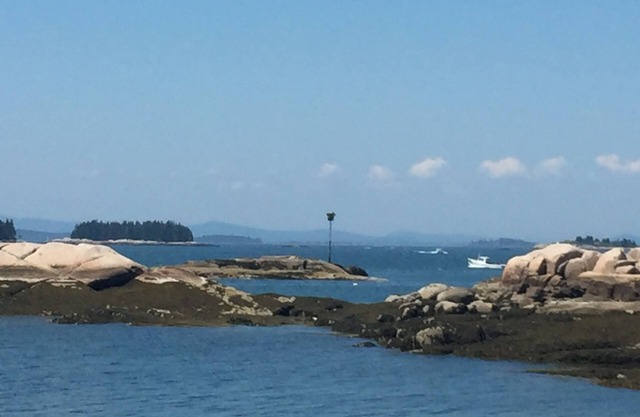 Garden cottage w/ 4 kayaks/gear/dock/patio, parking on Stonington Harbor nearby