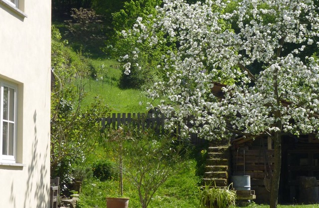 Garden paradise in the Middle Rhine Valley - roses, herbs, estate and garden