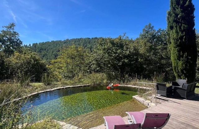 Garidelle
