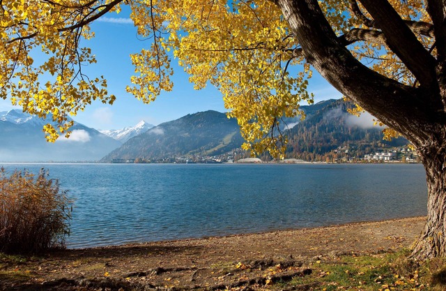 Gartenapartment Mandl Zell am See Sauna Pool 75 qm