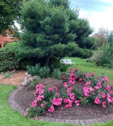 Gartenidylle