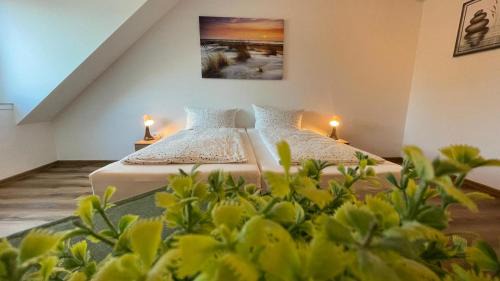 Gavner Boardinghouse Apen