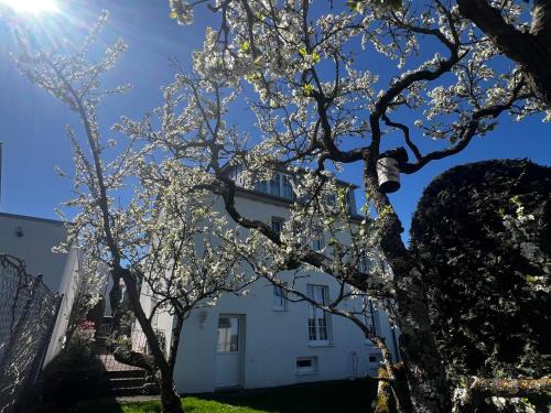Gemütlich wohnen über Besigheim