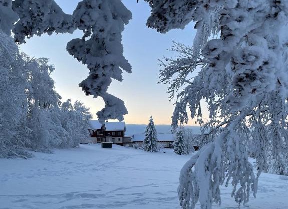 Gemütliche Ferienwohnung Harz Braunlage Hohegeiß