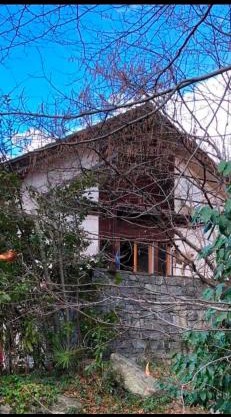 Gemütliche Gartenwohnung im Tessin
