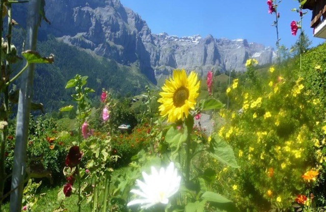 Gemütliche sonnige Wohnung Bergpanoramasicht