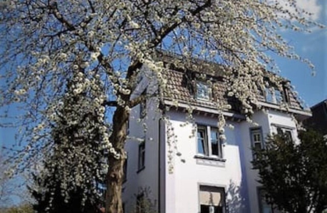Gemütliche Wohnung mit Balkon am Waldrand