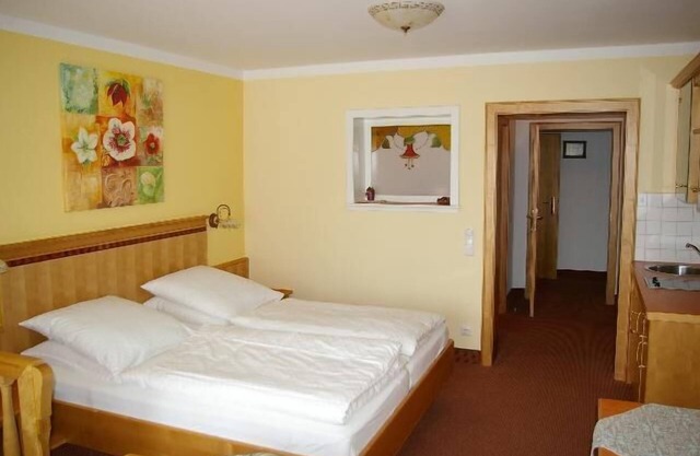 Gemütliches Appartement mit kombinierten Wohn- und Schlafbereich