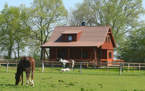 gemütliches Ferienhaus in der Natur