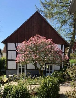 Gemütliches Ferienhaus im Extertal/Lippe