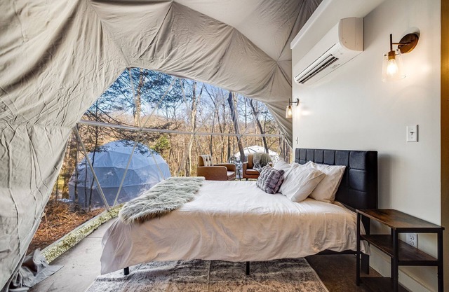 Geodesic Dome 1