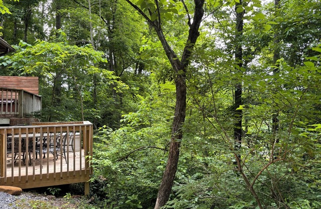 Gi Gi's Getaway! Hot tub. F/P. screened porch