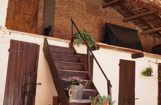 Giardino 34
