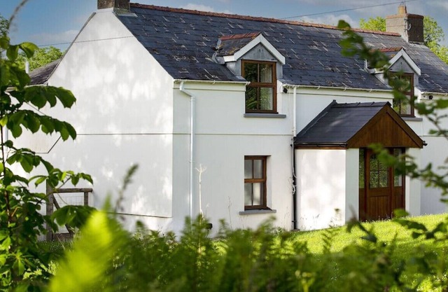 Gilfach Cottage · Cosy Cottage in Wild Countryside by Llys-y-Fran