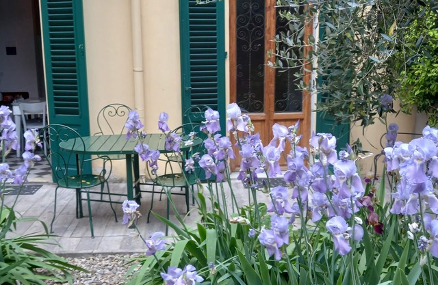 Ginella- The vintage house