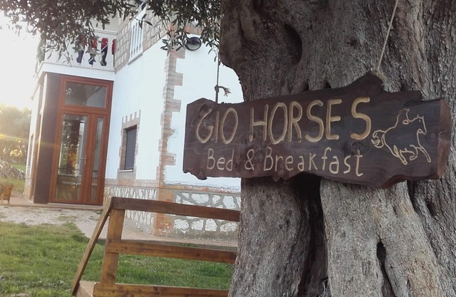 Gio Horses B&B located in the Gargano National Park between sea, lakes and woods.