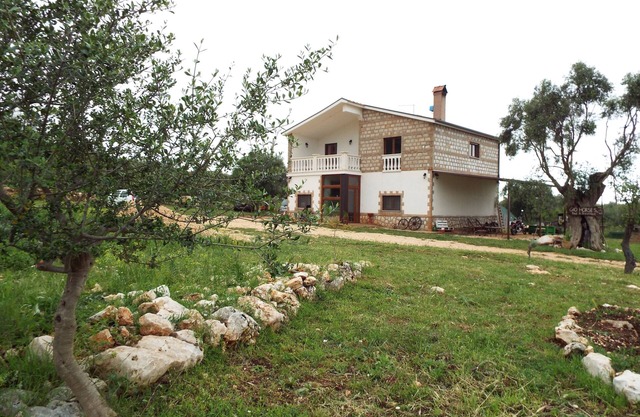 Gio Horses GARGANO NATIONAL PARK BETWEEN THE SEA, LAKES OF LESINA AND VARANO.