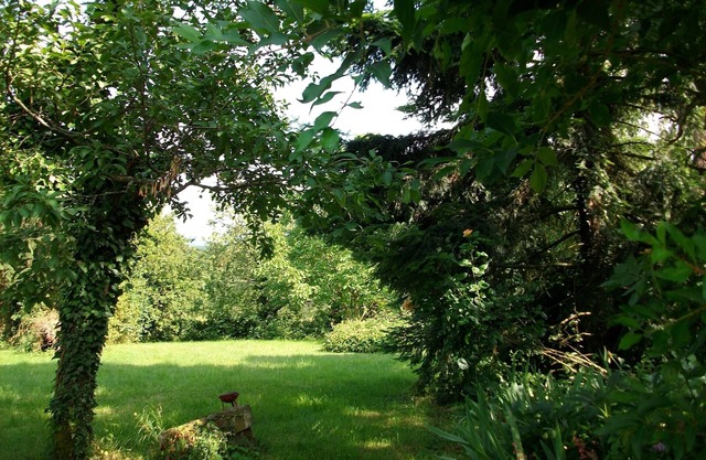 Gite classified La Trémelière facing the vineyards and the plain at the foot of the mountain