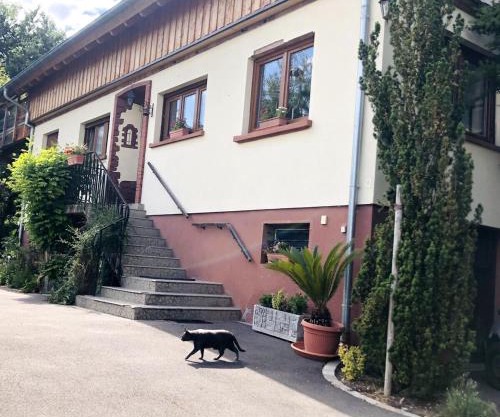 Gite du Ried