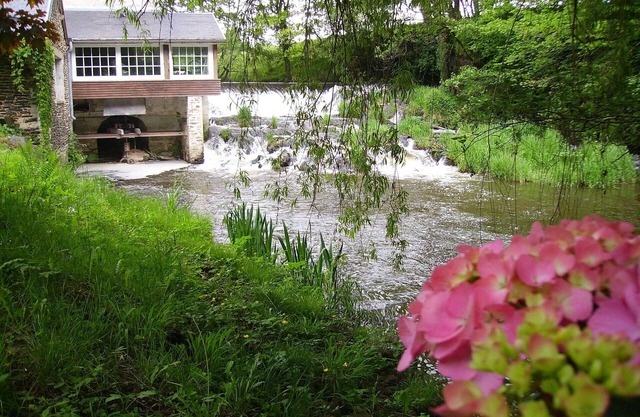 Gite in a mill overlooking the river surrounded by greenery