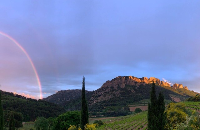 Gîte in the heart of the Dentelles de Montmirail