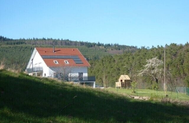 GITE IN THE NATURE BETWEEN VINEYARD AND MOUNTAIN IN THANNENKIRCH