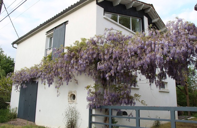 Gite marais poitevin, loft style