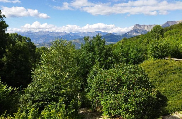 Gites Chalet Grand Cerf Montclar-Ubaye