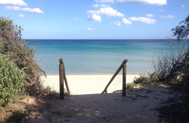Giulia terraced house in the shade of pine trees 500 meters from the beach.