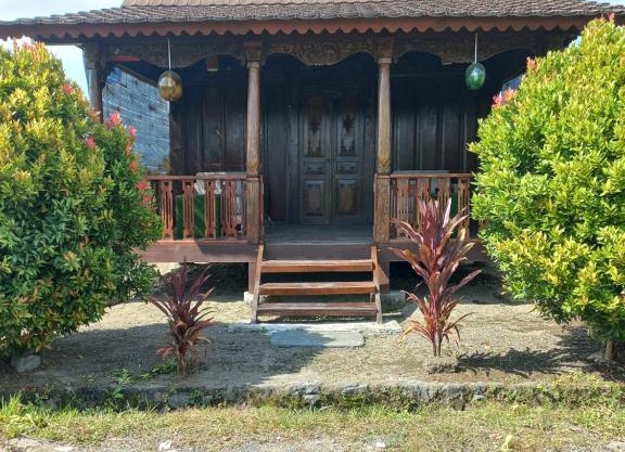 Gladak Mesari