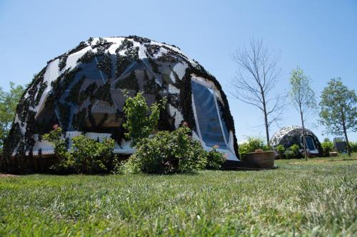Glamping Bio28