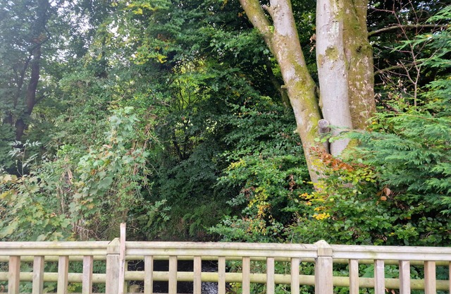 Glamping Hut - Riverside 1