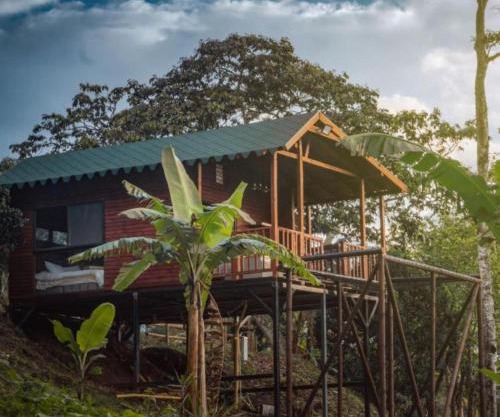 Glamping la Joyita