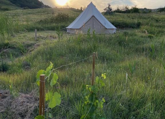 Glamping Orange Valley
