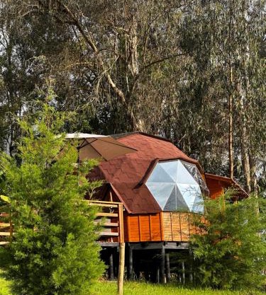 Glamping Shalom