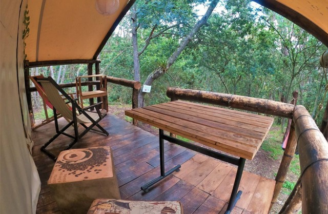 Glamping tipo safari