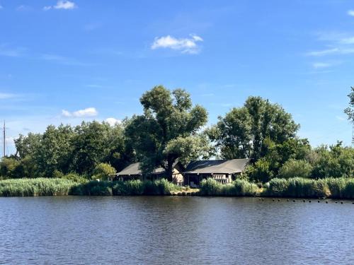 Glampingtent de Saskerlei, de Woudhaven