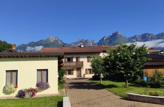 Glicine delle Dolomiti