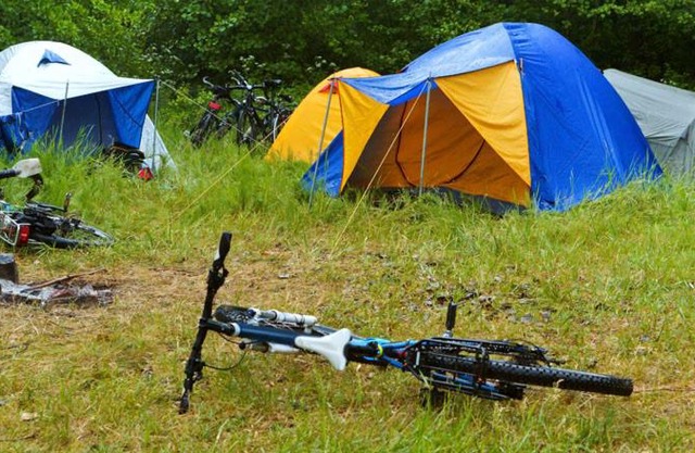 Go Camping