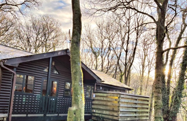 Goldcrest 1-Hot Tub-Woodland Lodges-Carmarthenshire-Tenby